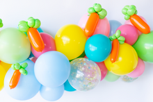 Load image into Gallery viewer, Carrot Balloon Animal Kit